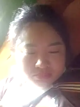 Meo-catwet online show from April 15, 5:25 am