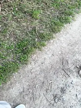 aras  25 online show from March 9, 2:43 pm