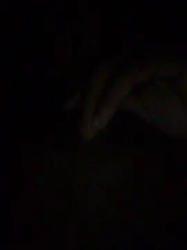 gostinhopauzudo online show from March 22, 3:21 am