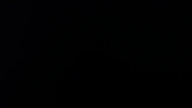 artemisa aly online show from April 8, 11:43 am