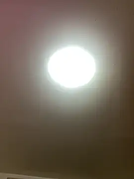 KarmaFoxx online show from March 26, 3:01 am