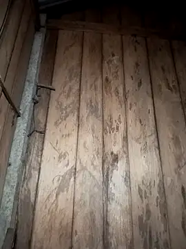 Mizu-hotshow online show from March 29, 10:32 pm