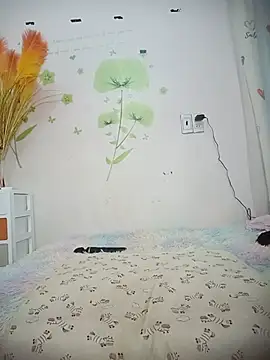 Snapshot of Meow_cute chatting on July 6, 6:43 am Meow cute online show from July 6, 6:43 am