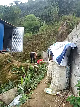 dualeo11 online show from March 12, 6:19 am