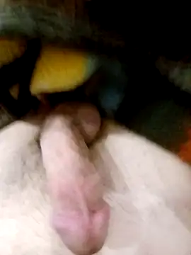 Adix 02six online show from March 10, 1:54 am