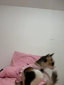 Nicole Cute04 online show from June 28, 4:18 am