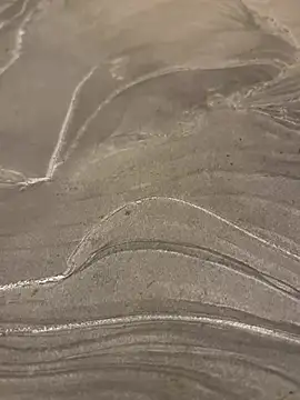 sharks90 online show from March 24, 4:06 am