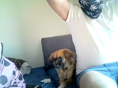 SirNefastus online show from April 12, 4:28 am