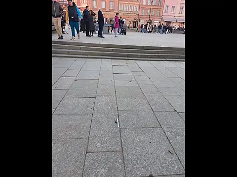 PublicMarekFlashDick online show from March 14, 2:44 pm