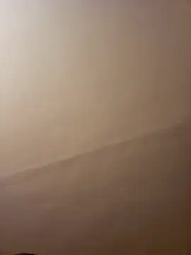 dufatcock online show from April 10, 8:02 pm