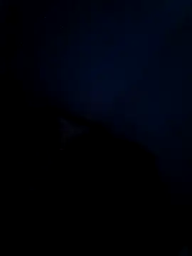 Vaishnavii online show from March 21, 8:19 am