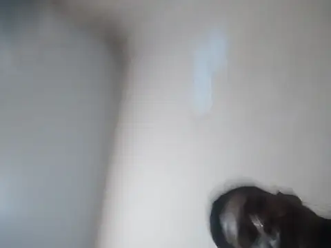 pappirico online show from April 1, 7:09 am