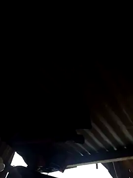 leitan01 online show from March 21, 12:32 pm