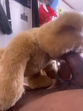 Bigcock127 online show from March 26, 8:25 pm