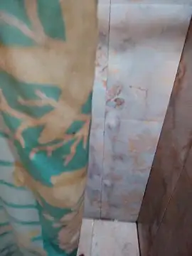 DosAlmasArdientesED online show from April 20, 2:58 am