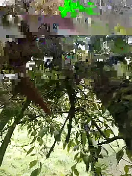 Snapshot of xjkedv chatting on June 6, 6:45 pm xjkedv online show from June 6, 6:45 pm