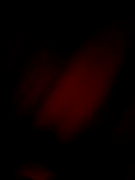 Eivar003 online show from April 3, 4:54 am