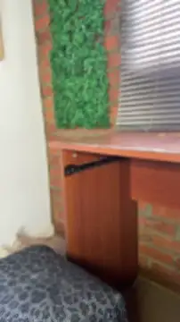 Snapshot of AlmaSajor_ chatting on June 28, 2:12 pm AlmaSajor online show from June 28, 2:12 pm