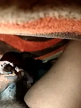 chickelikeme online show from April 9, 2:00 am