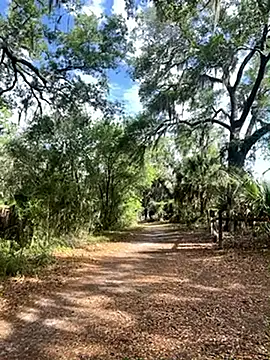 Pussymuncher822 online show from April 22, 1:23 pm