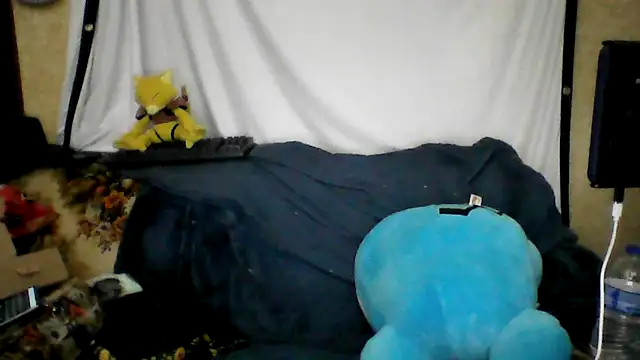 BriTheTopBear online show from April 21, 2:51 am