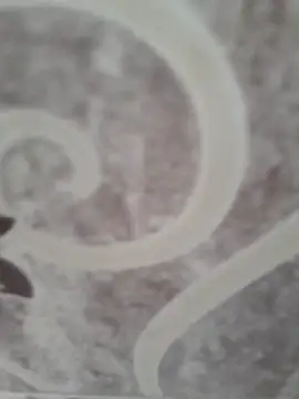 Snapshot of sk022 chatting on April 15, 5:14 am sk022 online show from April 15, 5:14 am