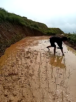 LucyBri01 online show from April 18, 2:04 am