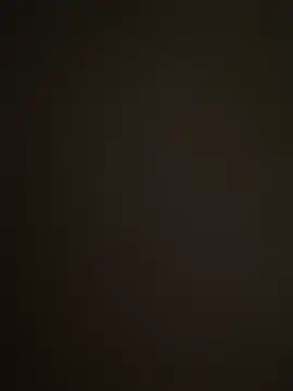 Snapshot of Barloo chatting on December 2, 8:48 pm Barloo online show from December 2, 8:48 pm