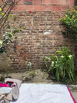 emily gv1 online show from June 2, 5:15 pm