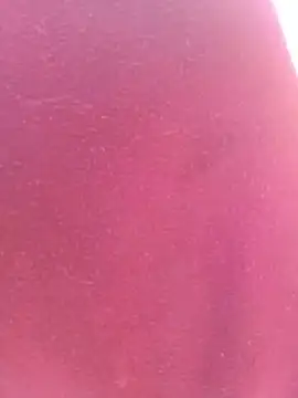 bombasexual online show from May 6, 1:05 pm