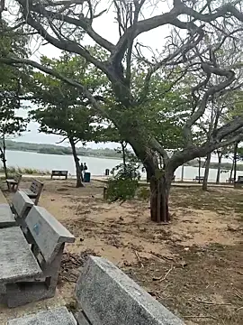 Palmer   online show from July 10, 2:41 pm