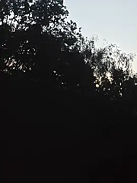 Snapshot of DanieleAleksandraDeRossii chatting on June 22, 7:44 pm DanieleAleksandraDeRossii online show from June 22, 7:44 pm
