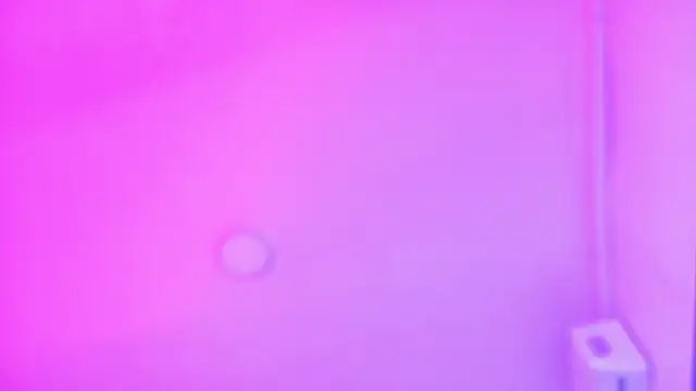 Snapshot of LexaDominant__ chatting on July 16, 9:48 am LexaDominant online show from July 16, 9:48 am