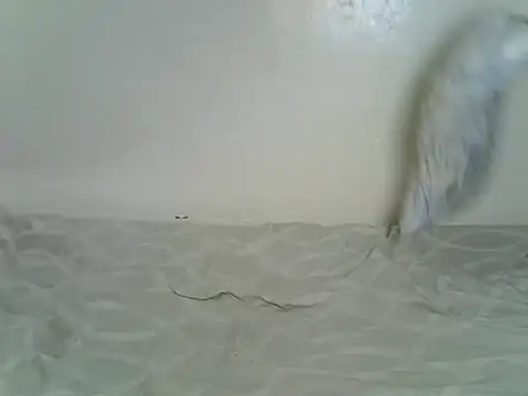 Sexxyfrey online show from June 29, 5:46 am