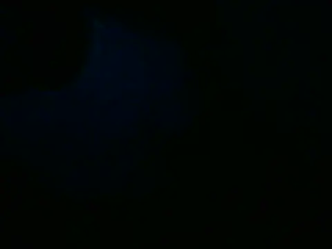 Snapshot of CasalNaore chatting on May 27, 2:52 am CasalNaore online show from May 27, 2:52 am