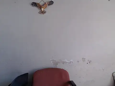 Frank X Husle online show from June 8, 10:37 am