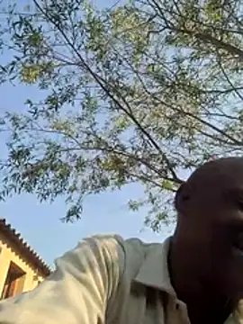 Snapshot of Rod_Gorilla chatting on July 7, 12:31 pm Rod Gorilla online show from July 7, 12:31 pm
