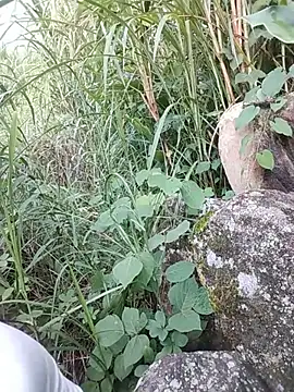 Snapshot of diana_jj chatting on August 7, 10:45 pm diana jj online show from August 7, 10:45 pm