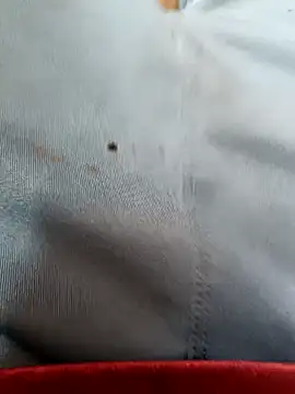 Snapshot of FriskyGender chatting on October 17, 7:22 am FriskyGender online show from October 17, 7:22 am