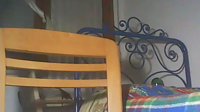 Snapshot of Moro_ra chatting on December 22, 7:44 pm Moro ra online show from December 22, 7:44 pm