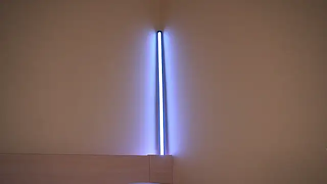 Snapshot of Liuba_Fox chatting on February 23, 7:33 pm Liuba Fox online show from February 23, 7:33 pm