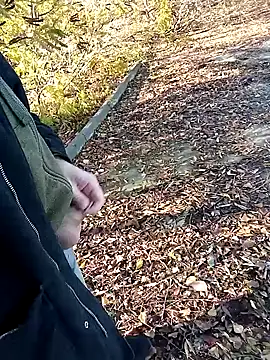 Snapshot of Pokaz2020 chatting on October 27, 11:36 am Pokaz2020 online show from October 27, 11:36 am