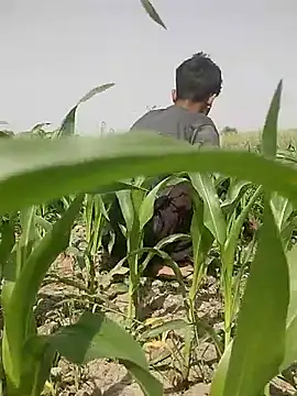 ThethunderPo online show from March 5, 8:10 am