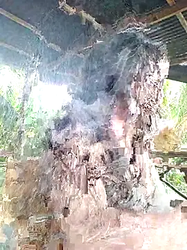 Snapshot of loveuu-bae chatting on October 23, 9:35 pm loveuu-bae online show from October 23, 9:35 pm