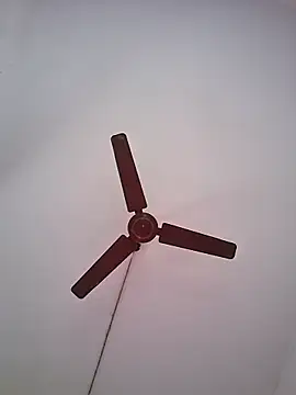 Snapshot of BlackBoy_Kolkata chatting on June 19, 7:12 am BlackBoy Kolkata online show from June 19, 7:12 am