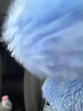 Snapshot of AnastasiaAniess chatting on February 1, 9:21 am AnastasiaAniess online show from February 1, 9:21 am