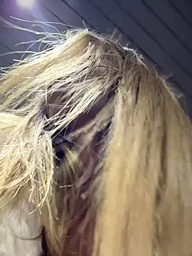 Snapshot of AnastasiaAniess chatting on October 29, 8:10 pm AnastasiaAniess online show from October 29, 8:10 pm