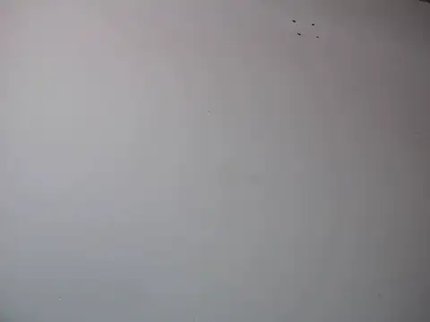 Mia davis01 online show from January 12, 8:14 pm