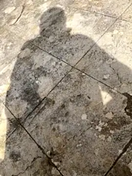 curcuro online show from March 1, 10:50 am