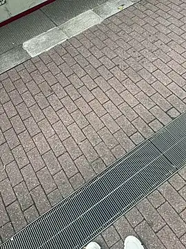 Lionayowe online show from September 27, 1:16 pm